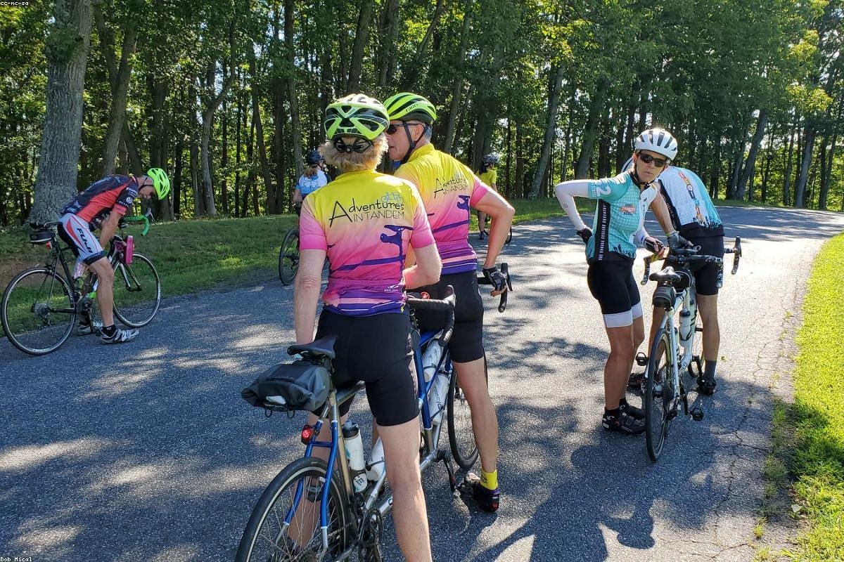 Bike Speedometer Online