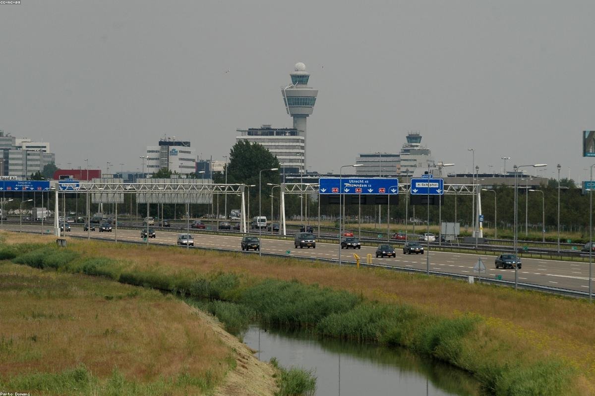 Bus Speed vs. Car Speed